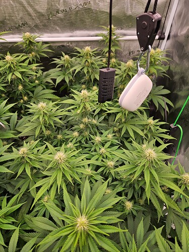 Growreport Bild 13