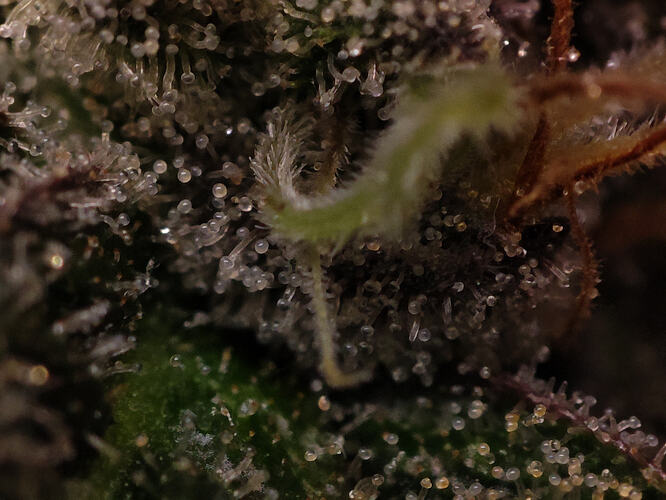 Growreport Bild 47