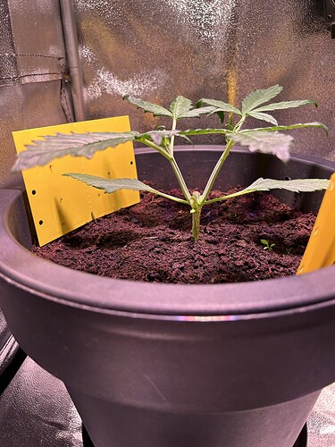 Growreport Bild 9