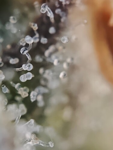 MVIMG_20251126_182059