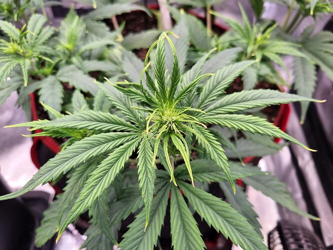 Growreport Bild 13