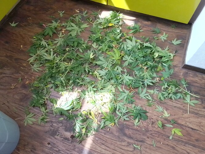 Growreport Bild 6