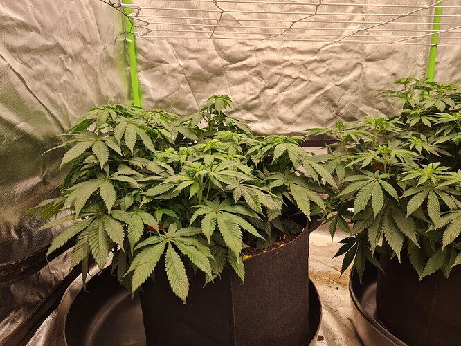 Growreport Bild 18