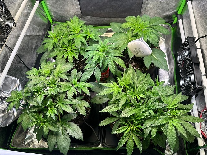 Growreport Bild 5
