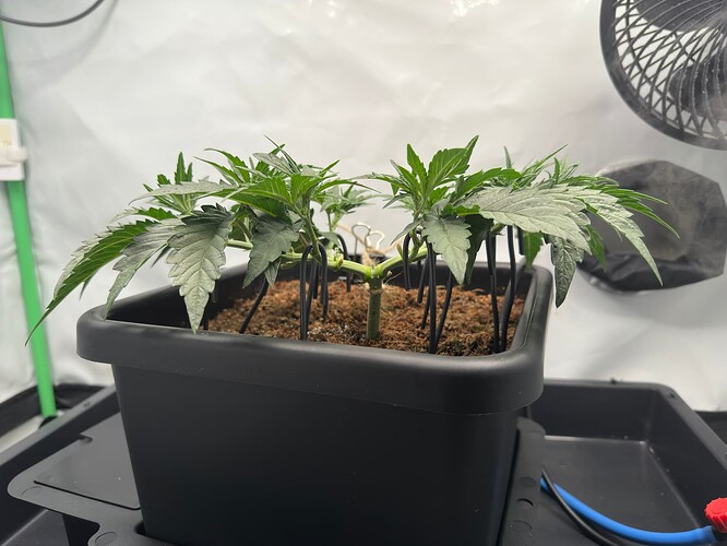 signal-2025-08-12-150313