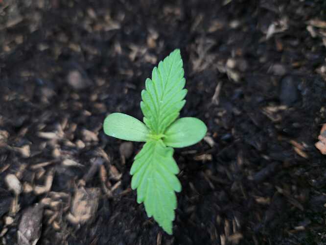 WhatsApp Image 2024-04-19 at 13.00.04