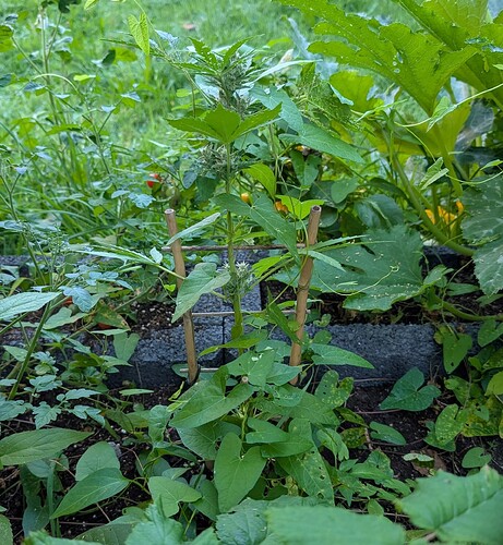 Growreport Bild 14