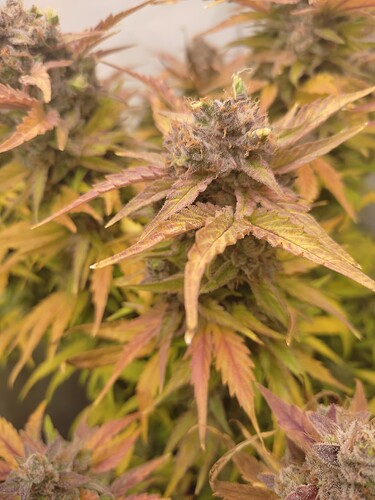 Growreport Bild 10