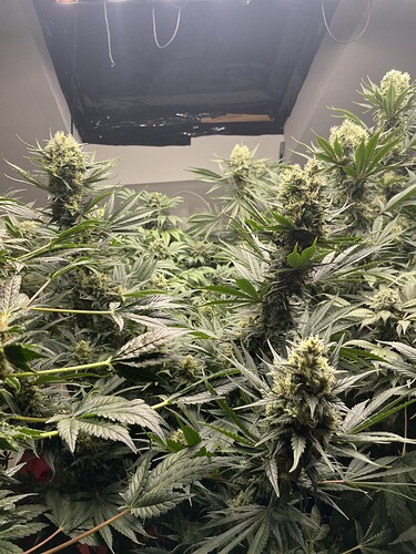 Growreport Bild 14