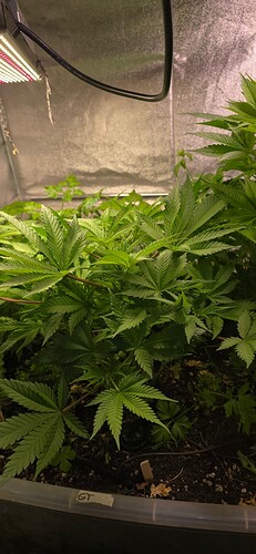 Growreport Bild 9