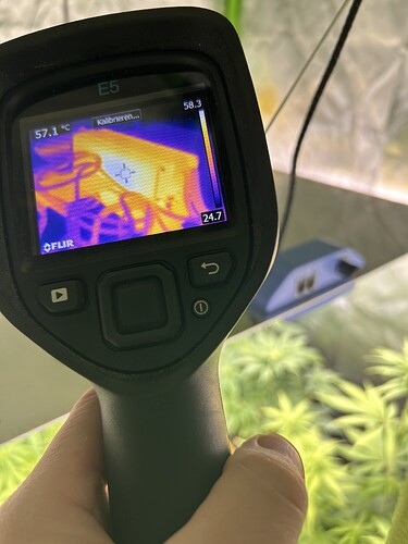 Growreport Bild 9