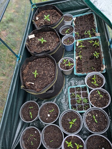 PXL_20250416_164050581