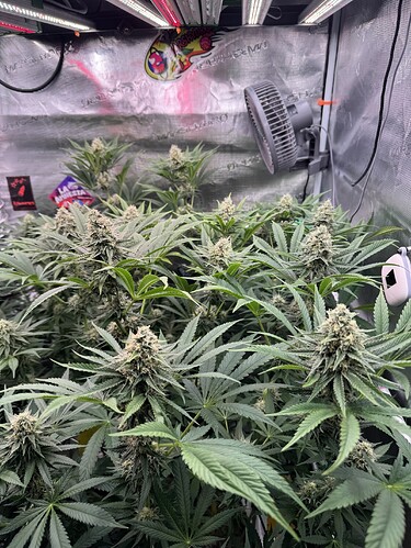 Growreport Bild 8