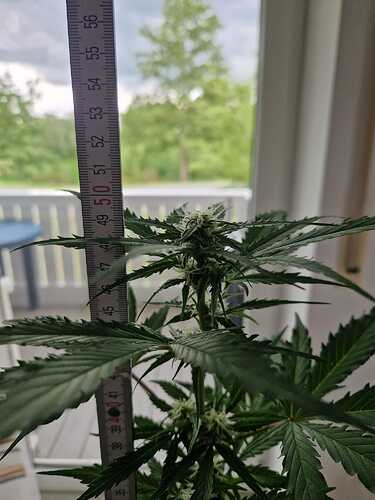 WhatsApp Image 2024-05-22 at 17.48.40 (1)