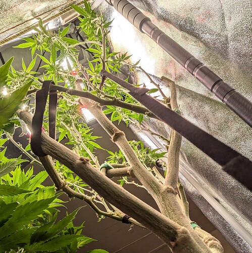Growreport Bild 17
