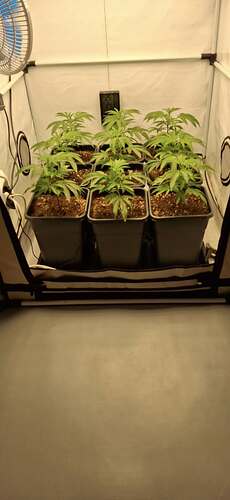 Growreport Bild 12