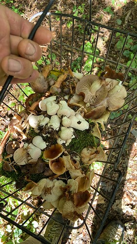 Growreport Bild 5