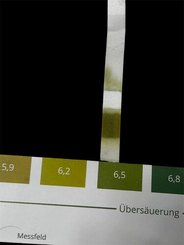 Growreport Bild 20