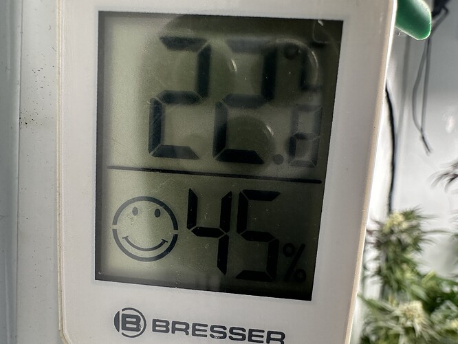 Growreport Bild 5