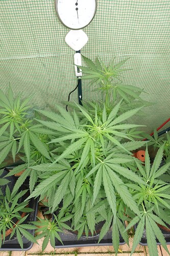 Growreport Bild 12