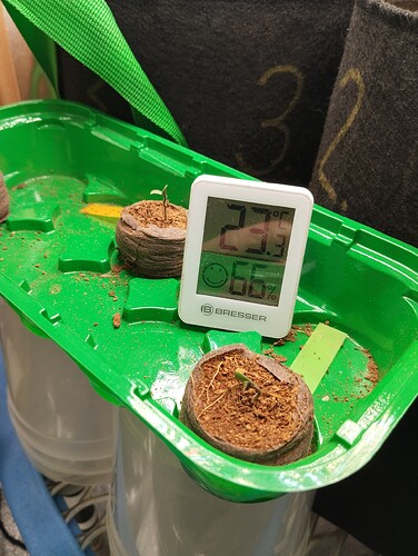 Growreport Bild 4