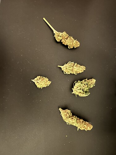 Mehrere getrocknete Cannabis-Buds liegen auf einem dunklen Untergrund.