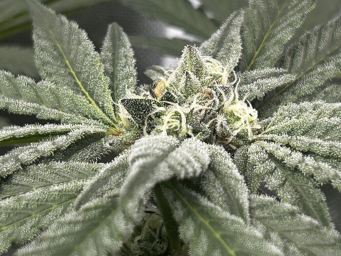 Growreport Bild 13