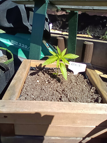 IMG_20240515_095724_3