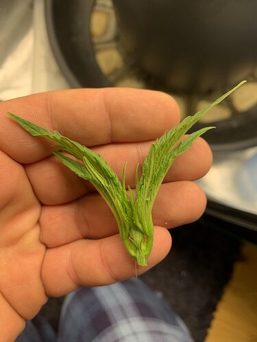 Growreport Bild 2