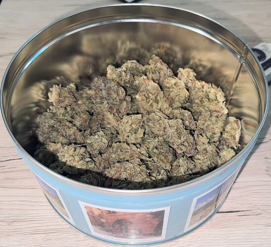 Growreport Bild 60