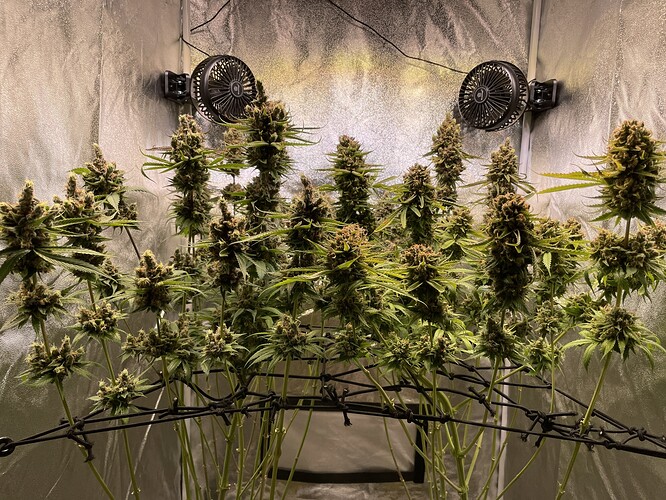 Growreport Bild 15