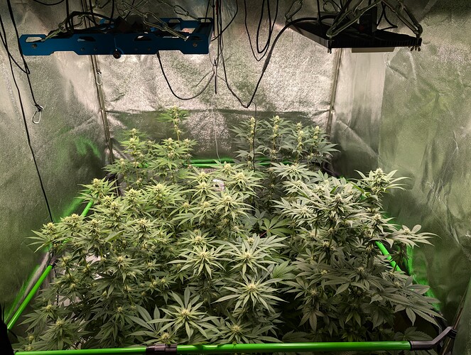 Growreport Bild 6