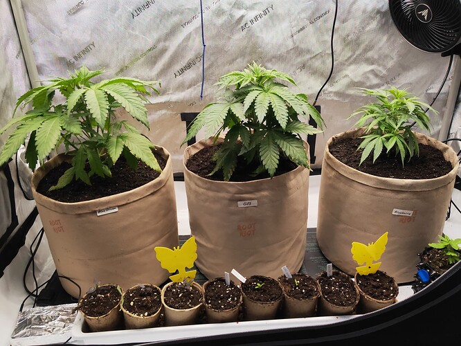 Growreport Bild 20
