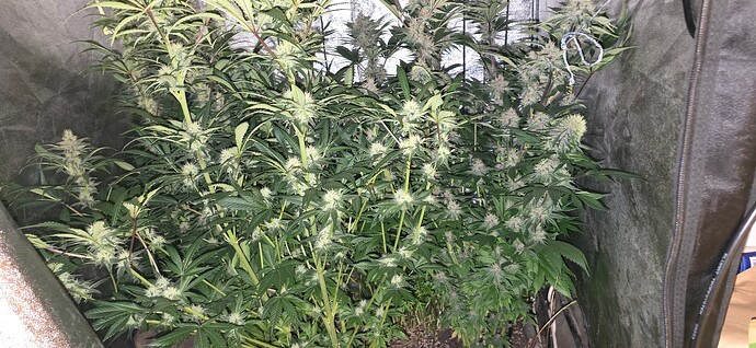 Growreport Bild 10
