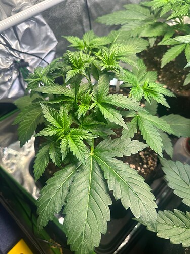 Growreport Bild 22