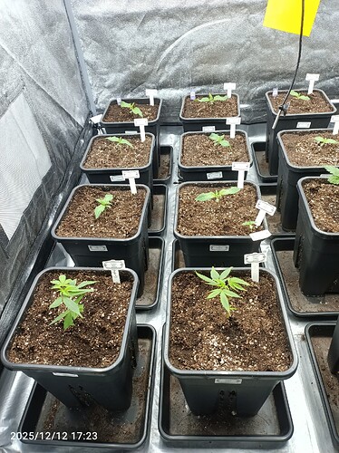 Growreport Bild 7