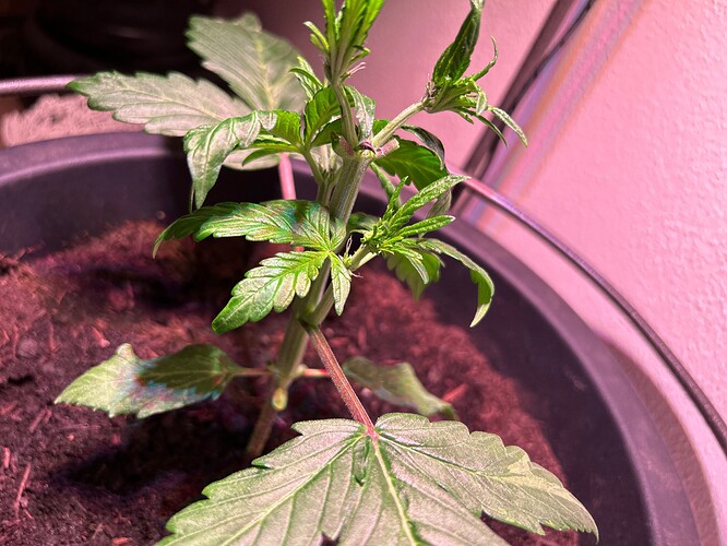 Growreport Bild 9