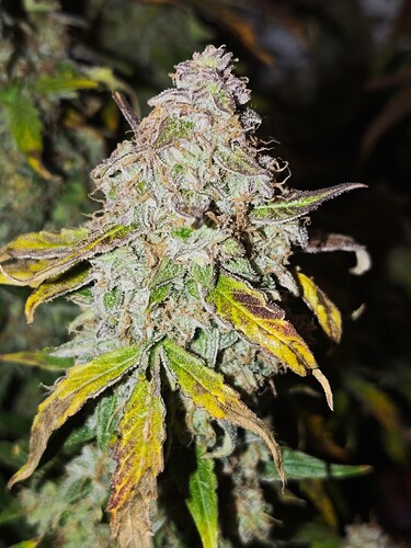 MVIMG_20251128_150202