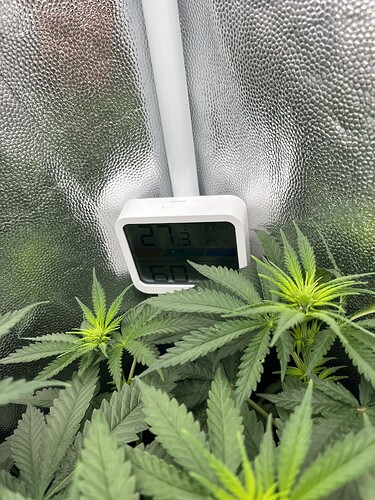 Growreport Bild 19