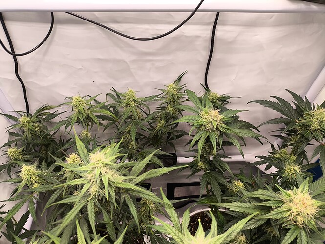 Growreport Bild 11