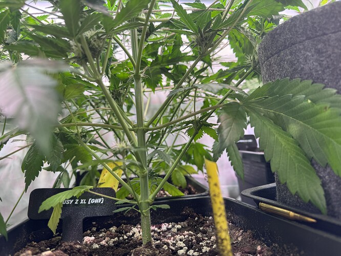 Growreport Bild 14