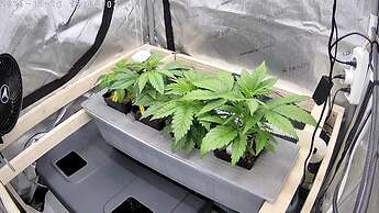 picture_20241226_150001