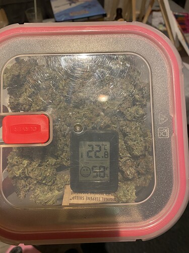 Growreport Bild 7