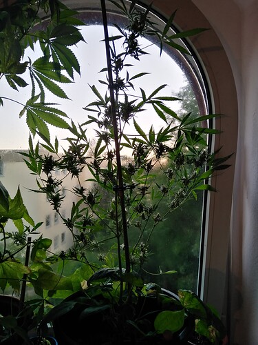 Growreport Bild 11