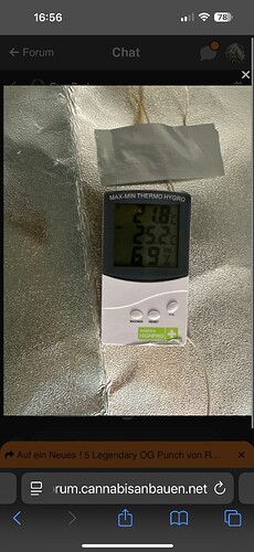 Growreport Bild 22