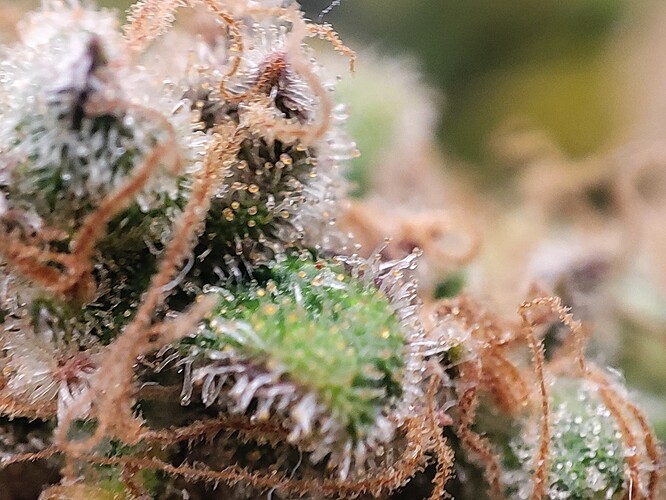 Growreport Bild 23