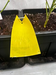 Growreport Bild 8