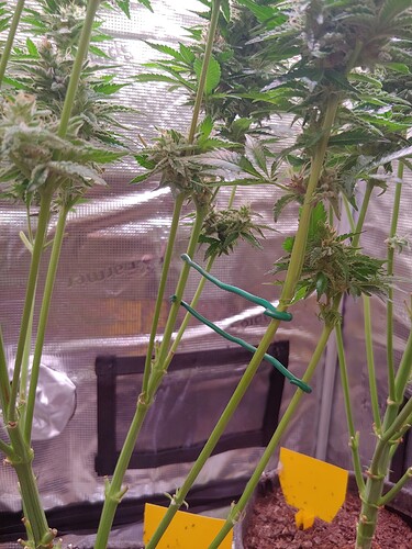 Growreport Bild 18