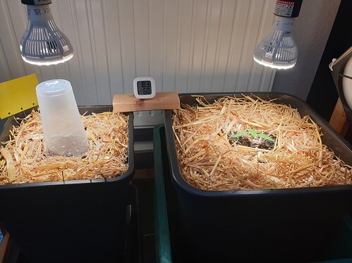 Growreport Bild 7