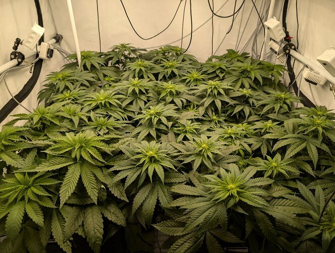 photo_2025-11-17_17-50-45